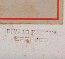 1872 Ludmann Ottó (1839-1936) tanár, egyházkerületi kollégiumi rektor, eperjesi főgimnáziumi igazgat...