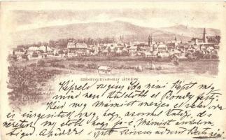 1899 Székelyudvarhely, Odorheiu Secuiesc; látkép. Posner, Budapest / panorama view (EK)