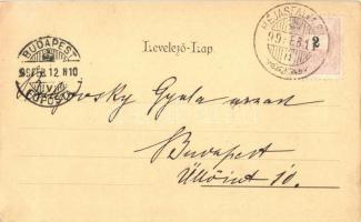 1899 Székelyudvarhely, Odorheiu Secuiesc; látkép. Posner, Budapest / panorama view (EK)