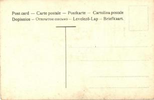 Moritat, Prosit Neujahr / New Year greeting card. Boy with dog. No. 511. litho