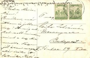 Bátyú, Batyovo; Lónyai kastély / castle / Schloss (EK)