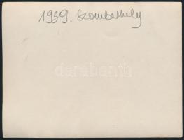 1939 Szombathely, vasúti töltés munkálatok, szivattyú kiemelés. 12x9 cm