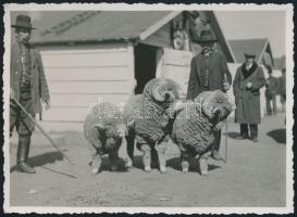 cca 1940 Őrgróf Pallavicini díjnyertes kosai Csongrád megyében. / Decorated tups 9x12 cm