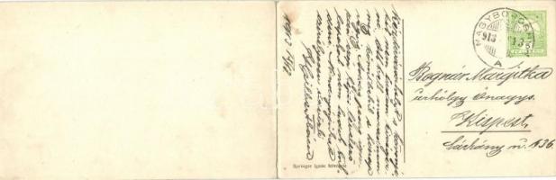 Nagyborosnyó, Borosneu Mare; panorámalap. Springer Ignác felvétele / panoramacard