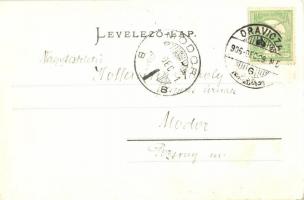 Oravica, Oravita; Kneipp-féle gyógyintézet. Weisz Félix kiadása / Heilanstalt / spa