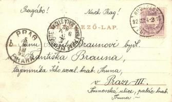 1892 (Vorläufer!) Budapest, látkép. floral, litho (EK)