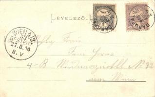 Sopron, Oedenburg; Széchenyi szobor, Hagenauer György floral képeslapja  (EK)