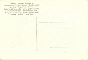 Tíz korona / Hungarian krone banknotes with mushroom