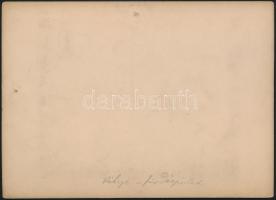 cca 1900 Felvidék, Vihnyefürdő, Fürdőépület / Bath photo 18x13 cm