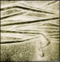 cca 1960-1970 8 db művészfotó negatívja, azonosítatlan művészektől / Atrist photos. 8 negatives