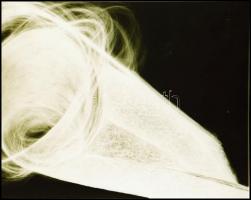 cca 1960-1970 8 db művészfotó negatívja, azonosítatlan művészektől / Atrist photos. 8 negatives