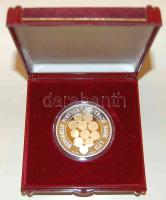1997. "MKB" Ag bicolor emlékérem T:PP Díszdobozban!