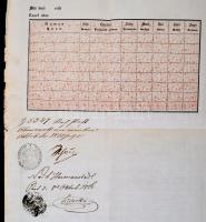 1855 Útlevél Felsőőön kiállítva / Passport issued in Burgenland