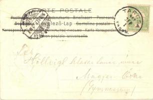 L'Anglaise / English Lady. Art Nouveau art postcard. Serie 653. Nr. 3. Emb. litho s: Basch Árpá...