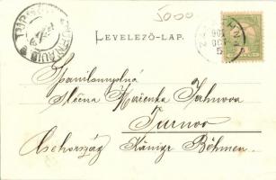 Zalatna, Zlatna; 1848-as emlékszobor a Preszáknál. Folberth Vilmos kiadása / heroes monument (EK)