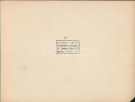 Seidner Zoltán(1896-1960): Szobabelsők, 4 db pecséttel jelzett fotó, sérülésekkel, 18x24 cm