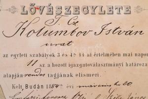 1884 Buda Szabad Királyi Fővárosa Polgári Lövészegylet, a Budai Várat ábrázoló litografált oklevele....