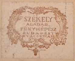 Székely Aladár: Ady Endre (1877-1919) és Babits Mihály (1883-1941) közös fényképe. Székely Aladár sa...
