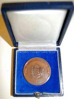 "Parlament-országgyűlés" modern Br emlékplakett T:1 Eredeti díszdobozban!