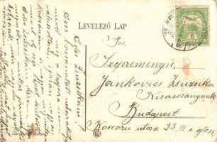 Dunaharaszti, Vasútállomás gőzmozdonnyal. Adler Adolf kiadása