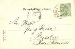 Jezero, Altes Cafe / street view with cafe, mosque