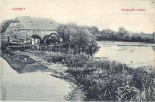 Facset, Facsád, Faget; Béga parti részlet, Hirschl Dávid és fiai malom. Onesan és Leukucza kiadása / river with mill