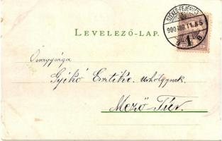 Székesfehérvár, Korcsolya pálya. Kaufman F. kiadása 14. Art Nouveau litho (apró szakadás / tiny tear...