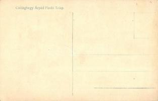 Budapest III. Csillaghegy, Árpád Fürdő Telep, Forrás uszoda, montázs. photo