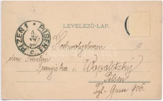 1899 Pankota, Pancota; Magyarádi Szőlőhegy, utcakép templommal. Beamter Ödön kiadása / vineyards, st...