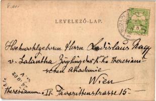 1902 Budapest V. Kossuth Lajos utca, Gyógyszertár a Kígyóhoz, Wirth J. fia, Ungár Lipót, Szántó Mór ...