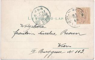 1899 Pápa, Irgalmas nővérek zárdája, Honvéd szobor, Római katolikus iskola, Dohány-gyár, főiskola. R...