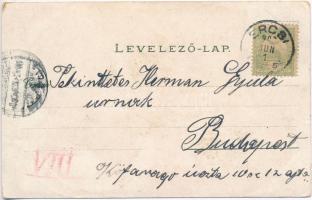 Ercsi, Fő utca, Eötvös emlékszobor. Art Nouveau, floral, litho (EK)