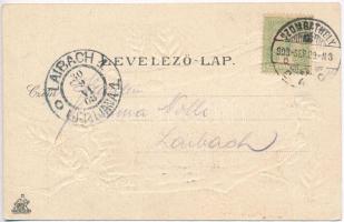 Szombathely, Deák Ferenc liget, leveles dombornyomott litho keret. Steiner Testvérek kiadása. Emb. l...