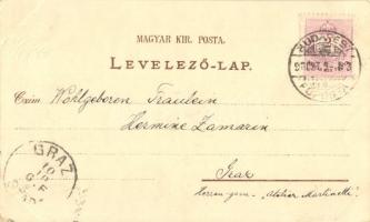 Budapest, Feszty körkép, Vígszínház, Erzsébet híd. Eisler G. kiadása, Flora, litho (EK)