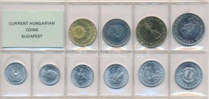 1988. 2f-20Ft (9xklf) "Magyar Népköztársaság" forgalmi érméi világoskék műbőrtokban T:1 Ad...