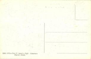 Catanzaro, Palazzo delle Finanze. Cart. V. Asturi e Figli / Financial Palace, street view with tram