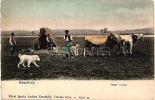 Keszthely, Ámor rétség ökrökkel. Mérei Ignác kiadása 1905