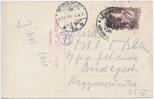 1920 Budapest I. Látkép a királyi várral. Magyar Aeroforgalmi Rt. légifelvétele, photo