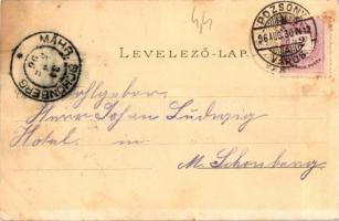 1896 (Vorläufer!!) Pozsony, Pressburg, Bratislava; Fő templom, látkép, színház, sétatér, városháza, ...