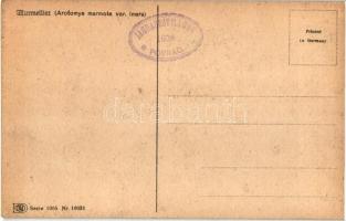 5 db RÉGI sziluettes túrázós művészlap Jos. Goller szignóval. 1926 Poprad Jagdausstellung pecséttel ...