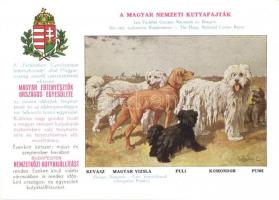 Magyar Nemzeti Kutyafajták. A Magyar Ebtenyésztők Országos Egyesületének lapja  / Hungarian dog breeds s: Vezényi E.