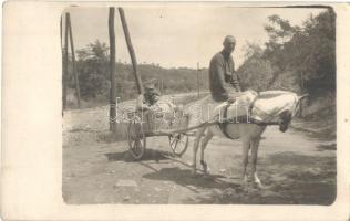 1917 Gorizia, Görz, Görzi-grófság; 76. gyalogezred katonáinak lovas fogata / WWI K.u.K. military, soldiers of the 76th Infantry Regiment with horse-drawn carriage. photo