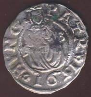 1591. Dénár Ag Rudolf T:3+