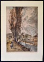 Aszódi Weil Erzsébet (1901-1976): Hulló levelek. Színezett rézkarc, karton, jelzett,  39×27 cm