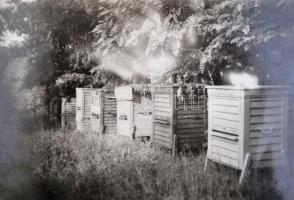 1953-1968 Aggtelek, Budapest, Lőrincpuszta, méhészetekben készült 7 db fotó, 6x9 cm