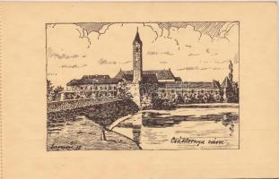 Délvidék. Bánát-Bácska-Baranya. Nem lehet másé! Nem! Nem! Soha! Irredenta képeslapfüzet 20 képeslapp...