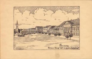 Délvidék. Bánát-Bácska-Baranya. Nem lehet másé! Nem! Nem! Soha! Irredenta képeslapfüzet 20 képeslapp...