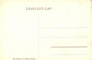 Brassó, Kronstadt, Brasov; Erdő-Kávéház. Zeidner H. 458. / Waldkaffee / forest cafe (EK)