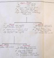 cca 1937 A Szász-Coburg-Gothai ház magyarországi ágának kéziratos leszármazási táblája a kezdetektől a harmincas évek végéig