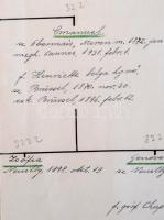 cca 1937 A Szász-Coburg-Gothai ház magyarországi ágának kéziratos leszármazási táblája a kezdetektől...